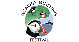 Acadia Birding Festival: Southwest Harbor, Maine