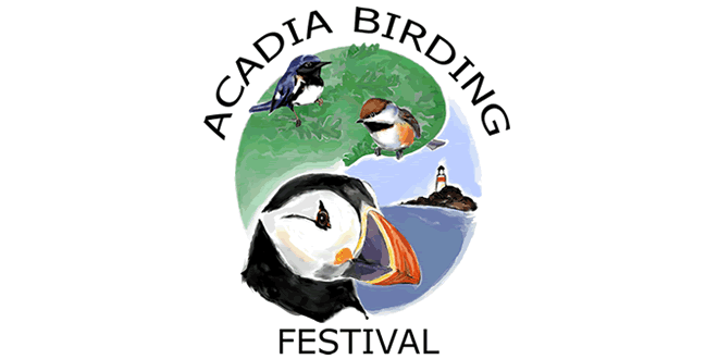 Acadia Birding Festival: Southwest Harbor, Maine