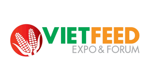 vietfeed