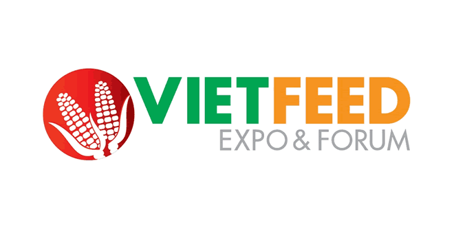vietfeed