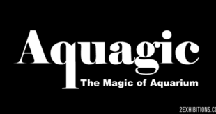 Aquagic Delhi: India's Largest Exhibition on Aquariums
