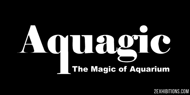 Aquagic Delhi: India's Largest Exhibition on Aquariums