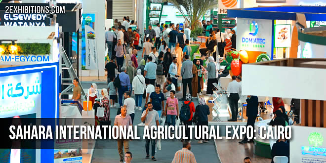 Sahara is the main platform for agriculture, animal production, and aquaculture in the MENA region